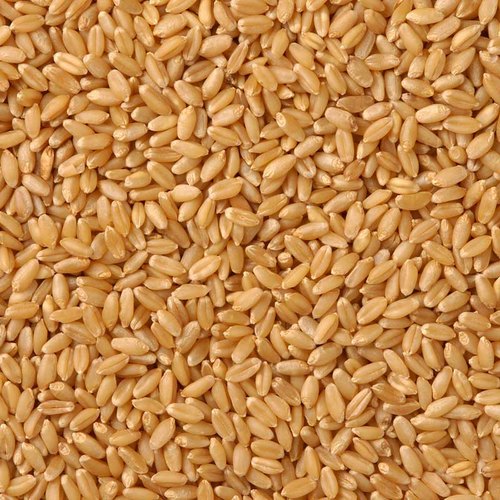Wheat Lokwan 5kg
